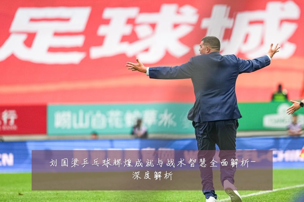 刘国梁乒乓球辉煌成就与战术智慧全面解析-深度解析